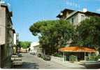 4958/FG/09 - VIAREGGIO (LUCCA) - Via Zara - Viareggio