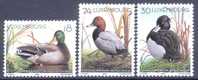 Luxembourg Sc1031-3 Bird. Ducks, Canard - Canards