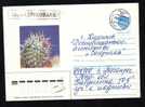 RUSSIA Tiraspol  1991 Enteire Postal Stationery Cover Circulated With Cactusses. - Sukkulenten