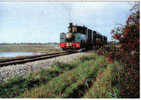 Carte Postale 80. Saint-Valery Le Petit Train  Trés Beau Plan - Saint Valery Sur Somme
