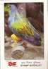 Indien Stamp Booklet 4MNH Stmp.Endangered Bird,Ltd - Columbiformes