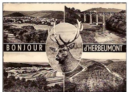 BONJOUR D'HERBEUMONT Multivues-CERF - Herbeumont