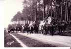 LES LANDES D´AUTREFOIS - Transport De Bois, Attelages De Mules - - Aquitaine