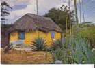 A Typical Native Country ( CUNUCU ) House On The Island Of  BONAIRE  - - Bonaire