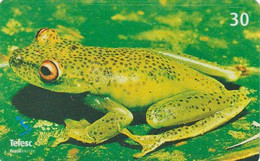 Télécarte BRESIL - ANIMAL - GRENOUILLE 3/12 - FROG BRAZIL Phonecard - FROSCH - KIKKER / BRASIL TELESC - 73 - Brésil