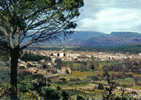 Carte Postale 83. Le Muy  Et Le Massif Du Rouet Trés Beau Plan - Le Muy