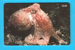 CURLED OCTOPUS (Horned - Lesser - Northern) Isle Of Man Old Chip Card * Poulpe Sépia Oktopus Seepolyp Tintenfisch Pulpo - Isle Of Man