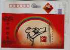 Taekwondo,tae Kwon Do,cartoon Mouse,olympic Event,China 2008 Tianjin Post Lunar New Year Of Rat Pre-stamped Card - Zonder Classificatie