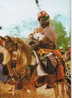 Nigeria Durbar Festival  154 - Nigeria
