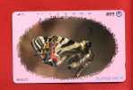 Japan Japon  Telefonkarte Phonecard - BUTTERFLY  PAPILLON  SCHMETTERLING - Schmetterlinge