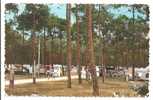 40 - BISCAROSSE  - Le Camping - Couleur - Animée Caravanes - Voitures 4CV, Aronde - Biscarrosse