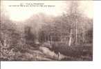 Forêt De PAIMPONT. - Les Bords De L'Aff En Aval Du Pont De L'Aff (près Beignon). - Paimpont