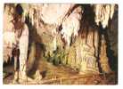 24969)cartolina Illustratoria  Dorgali Cala Gonone - Grotte Del Bue Marino - Nuoro