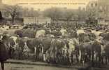 CPA  (50)  CARENTAN Le Marché Aux Bestiaux Et Annaxe Au Bureau De La Société Generale (tres Leger Choc Coin Bas Gauche) - Carentan