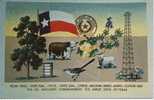 (EUA99) TEXAS . PECAN TREES , STATE FLAG, CATTLE, STATE SEAL, CITRUS, OIL INDUSTRY , ... - Sonstige & Ohne Zuordnung