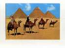 - EGYPTE . GIZA . LES  PYRAMIDES DE CHEOPS KHEPHREN ET MYKERINOS - Pyramids