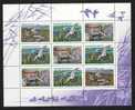 Russia 1992, Mi 254-256, Ducks - Birds, Mini Sheet - MNH ** - Feuilles Complètes