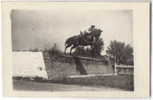 MILITARY Bulgaria CAVALLERY OFFICER Al. Boyadjiev & HORSE Photo 1932 / 061182 - Paardensport