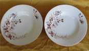 2 Assiette Creuse Ancienne Porcelaine - Motif Fleurs - Andere & Zonder Classificatie