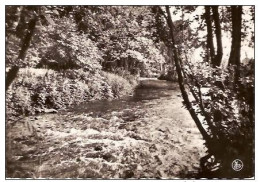 GRUPONT-PROMENADE DE LA LHOMME - Nassogne