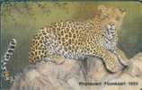 # SOUTH_AFRICA SAEGD Leopard 10 Gpt -animal,leopard- Tres Bon Etat - Sudafrica