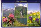 En Parcourant Les Pyrénées -  Le Lac D´Oo - Fleurs - Midi-Pyrénées