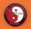 Rare Pin´s Picardie Judo " La  Nuit Des Arts Martiaux " - Judo