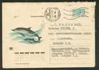 USSR,  DOLPHIN,  POSTAL  STATIONERY 1970, COVER USED - Dauphins