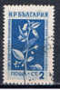 BG+ Bulgarien 1953 Mi 872 Pflanze - Used Stamps