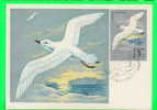 OISEAUX - BIRD - CARTE MAXIMUM RUSSE, 1978 - - Maximumkarten