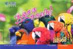 Bird Parrots  ,   Prestamped Card, Postal Stationery - Parrots