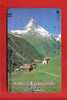 Japan Japon  Telefonkarte Télécarte Phonecard Telefoonkaart  -  Alpen Berge Alps Balken Nr. 110 -011 - Gebirgslandschaften