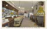 Hide & Seek Cafe, Tacoma WA, Interior View Restaurant  On C1920 Vintage Postcard - Tacoma