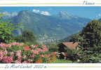 Cpm 74 HAUTE SAVOIE   Thones  Vue Sur La Vallee - Thônes