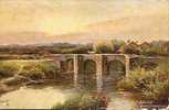 POWYKE OLD BRIDGE. WORCESTERSHIRE. - Altri & Non Classificati