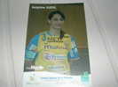 Carte Postale Postcard Championnes De France Saison 2007 2008 Champion Season METZ HANDBALL Delphine Guehl FRANCE - Balonmano