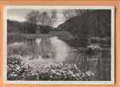 F862 Frühling Am Teich. Phot. Steiner St Moritz, Blaukreuzjudendwerk. SEPIA. Cachet Embrach 1939 Vers Zürich - Sankt Moritz