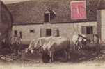 EN BEAUCE  Rentrée A La Ferme - Centre-Val De Loire