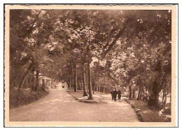 VIRELLES-PAVILLON Mme TALLIEN-SOUS-BOIS - Chimay