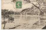 CpF1858 - CARQUEIRANNE - Anse Des Salettes - Les Pins - (83 - Var) - Carqueiranne