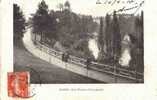 CPA. ANIMEE. PARIS. LES BUTTES CHAUMONT. DATEE 1910. - Paris (19)