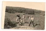 Milly-la-Forêt (91) : Culture De Pomme De Terre Environ 1910 (animée) PHOTO RARE. - Milly La Foret