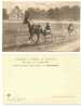 Faenza - Campionato Europeo 1911 - Babau - Corse - Trotto - HP223 - Paardensport