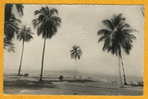 CONAKRY - Guinée - N° 1260 Un Coin De La Corniche- Circulée En 1960 Carte Photo  Edit Gogex - Guinea