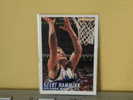 ORLANDO MAGIC - F / C - 94/95 - GEERT HAMNINK - BASKET - N.B.A . N° 338 . 2 Scannes - 1990-1999