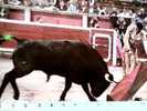 TORO TOROS  ARENA TOREADOR FAENA DE MULETA N1975 CD6335 - Taureaux