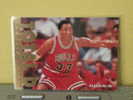 TOTAL D -  - 95 / 96 ( Carte ) Scottie Pippen - N.B.A . N° 206 . 2 Scannes - 1990-1999