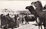 Algérie, Ghardaia -  La Place Du Marché, Circule Oui, 1958 - Ghardaia