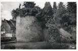 21-SAULIEU-  Tour D´Auxois- Dernier Vestige De L´enceinte Fortifiée De La Ville ( 1359) - Saulieu