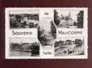 Souvenir De Malicorne Multivue édfit.dolbeau Belle Cpsm - Malicorne Sur Sarthe